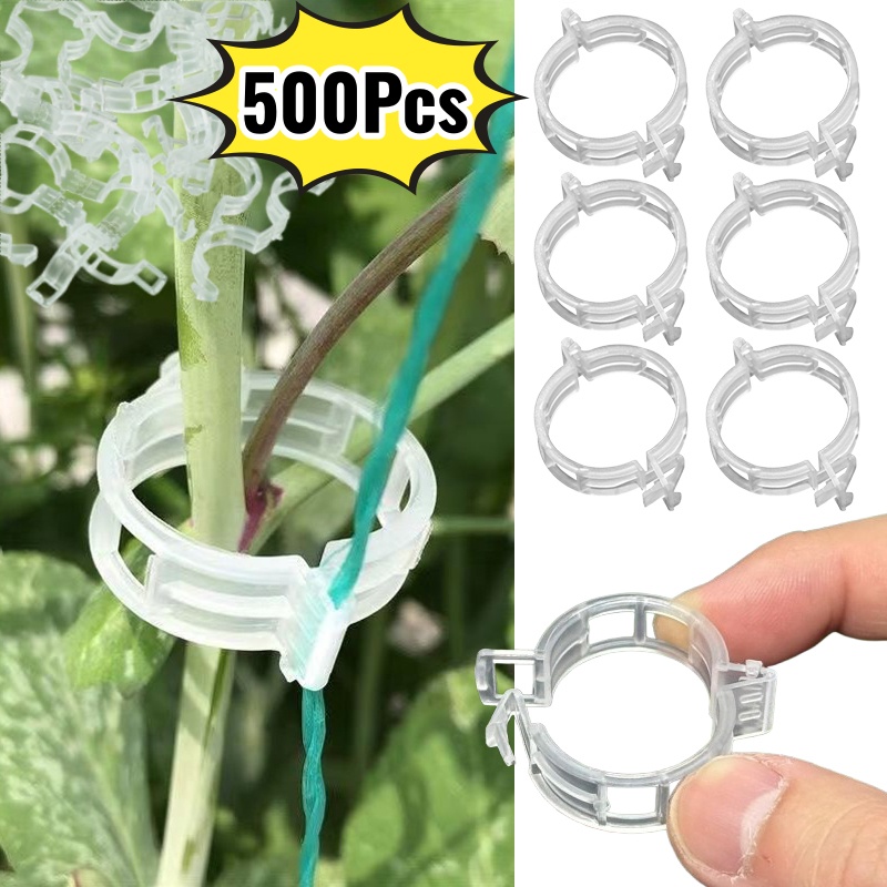Vine Climbing Plastic - 500 szt. Plastikowe klipsy do podtrzymywania