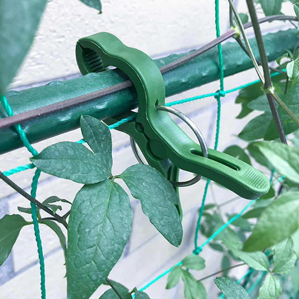 Vine Climbing Plastic - 60 szt. plastikowych klipsów do roślin