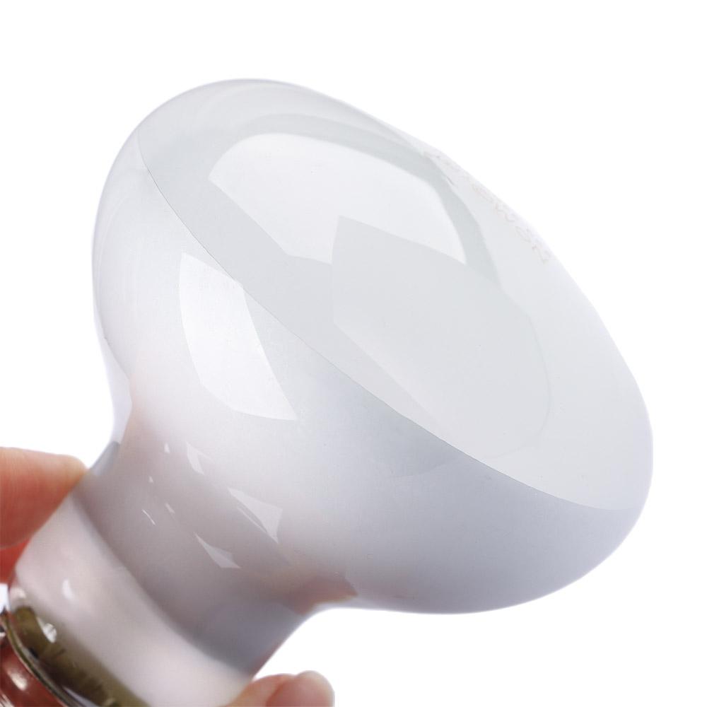 Regulator temperatury do grzej – Basking Bulb Halogen recenzja i cena