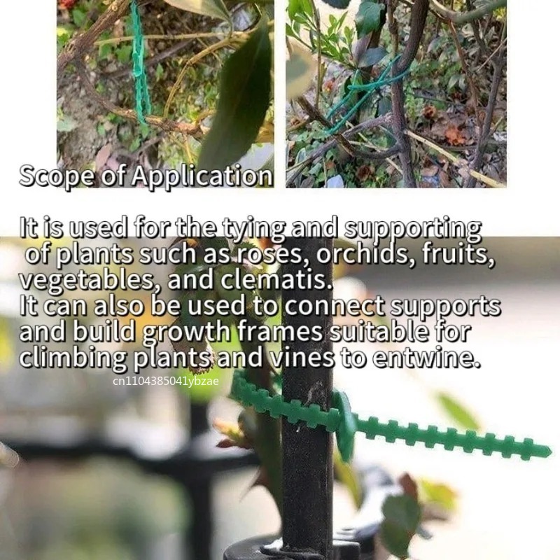 50-1000 szt. Regulowane plasti – Vine Climbing Plastic recenzja i cena