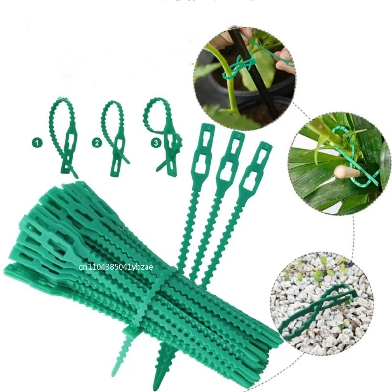 50-1000 szt. Regulowane plasti – Vine Climbing Plastic recenzja i cena