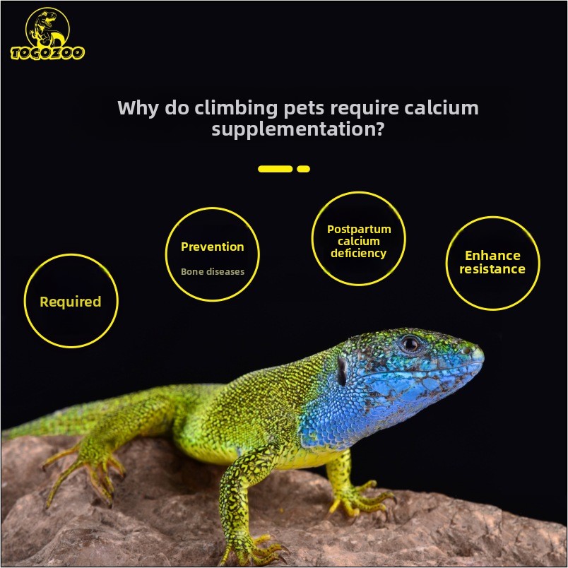 TOGOZOO WILDCAL Kalcjowy Prosz – Calcium Powder Reptile recenzja i cena