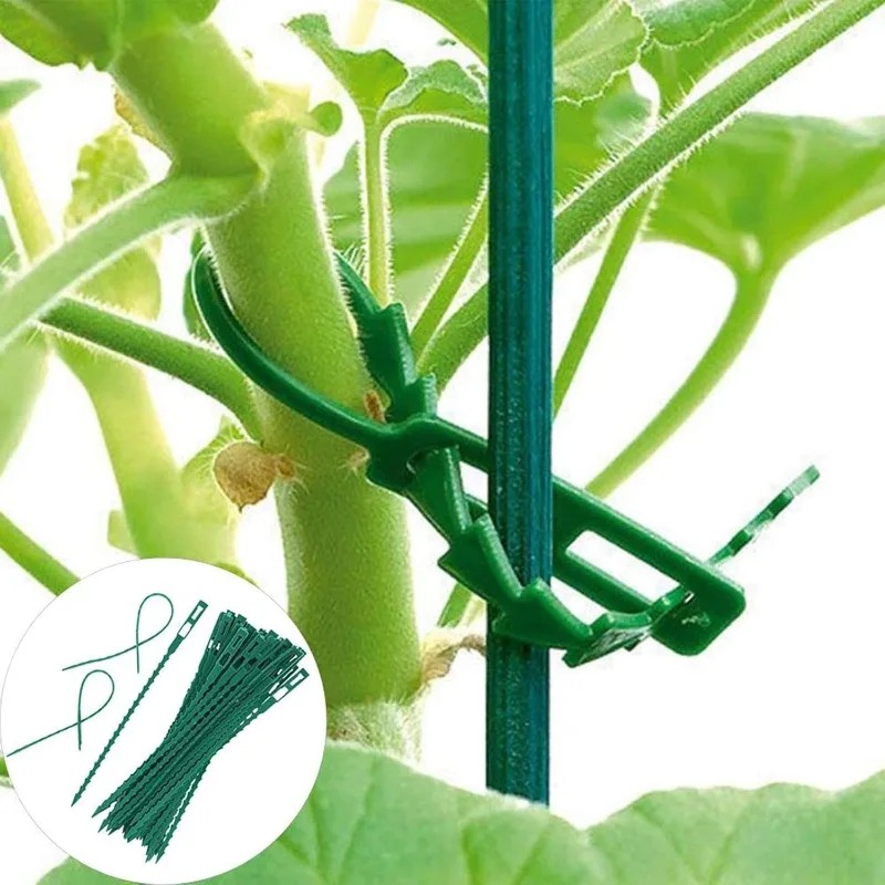 Hurtowe wielokrotnego użytku r – Vine Climbing Plastic recenzja i cena