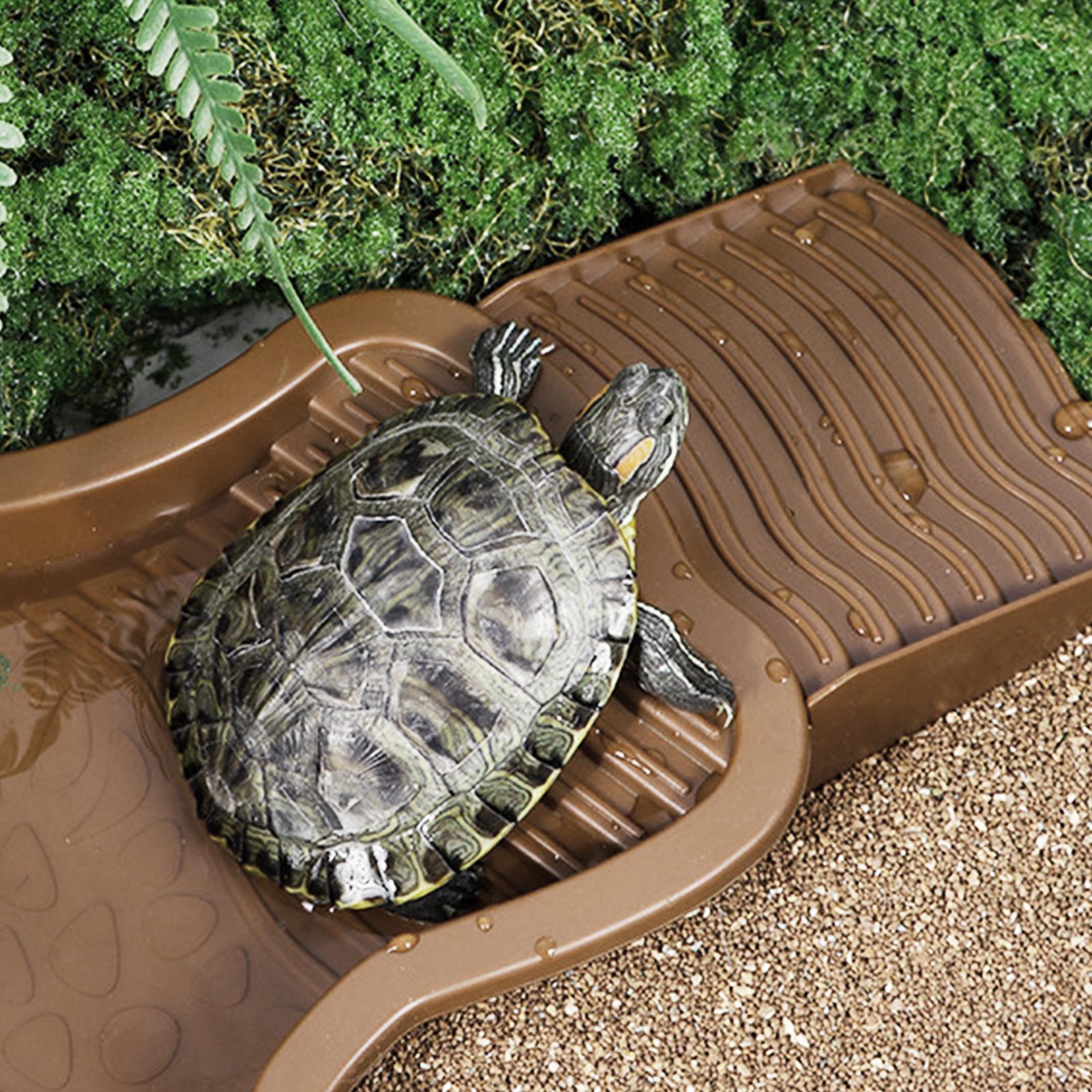 Basenik do kąpieli dla gadów z – Water Dish Reptile recenzja i cena