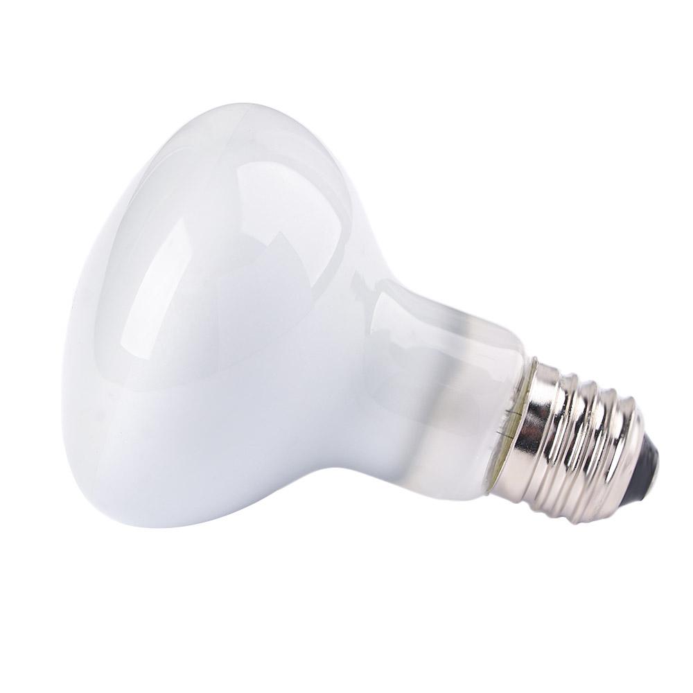 Regulator temperatury dla płaz – Basking Bulb Halogen recenzja i cena