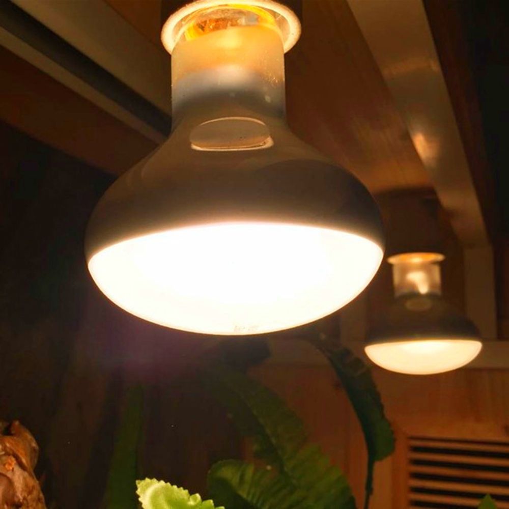 Regulator temperatury dla płaz – Basking Bulb Halogen recenzja i cena
