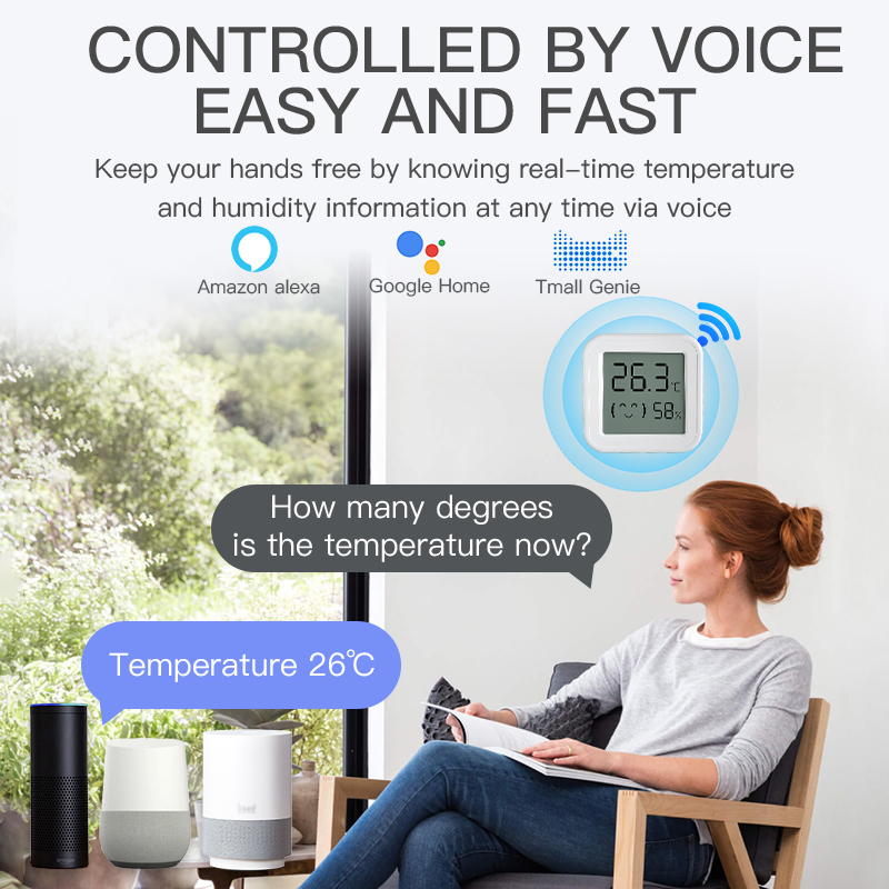 Czujnik temperatury i wilgotno – Digital Hygrometer Probe recenzja i cena