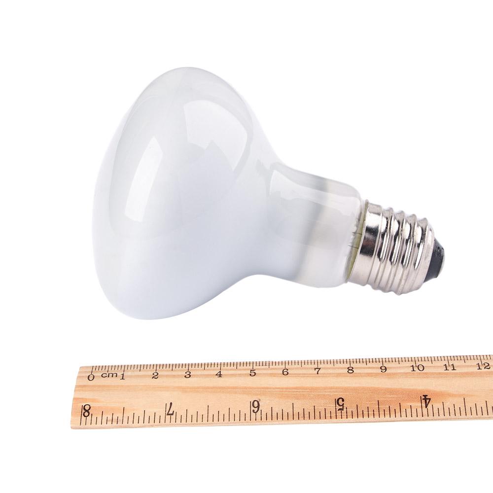 Regulator temperatury dla żółw – Basking Bulb Halogen recenzja i cena