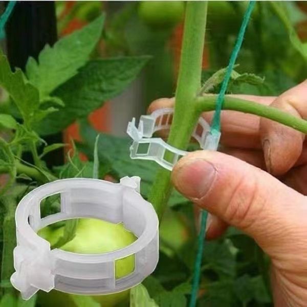 500 szt. Plastikowe klipsy do  – Vine Climbing Plastic recenzja i cena