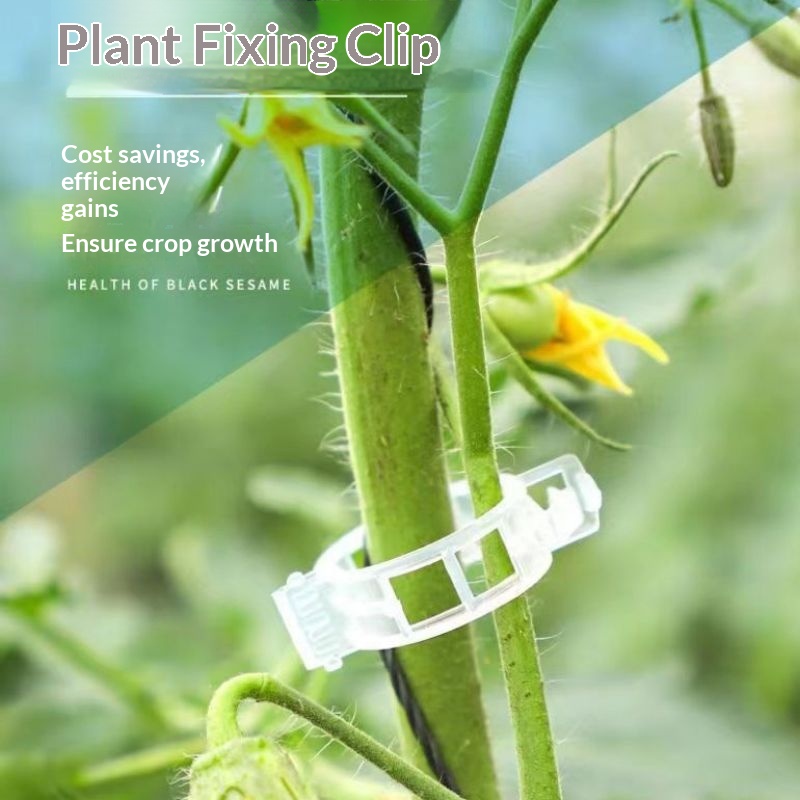 Plastikowe klipsy do podtrzymy – Vine Climbing Plastic recenzja i cena