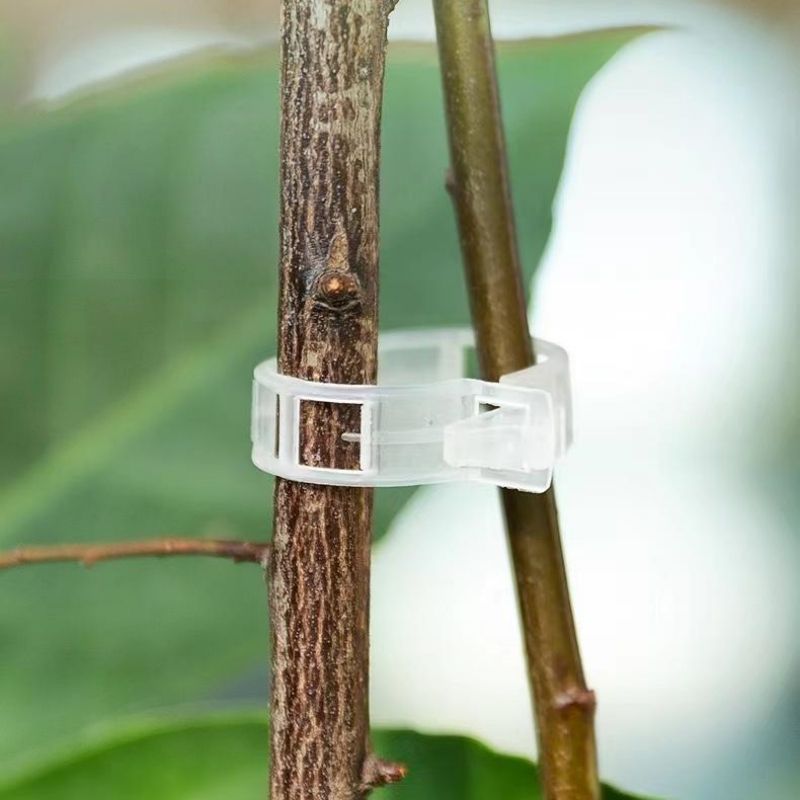 Plastikowe klipsy do podtrzymy – Vine Climbing Plastic recenzja i cena