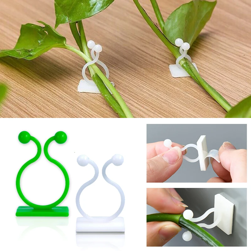 Samoprzylepne klipsy do roślin – Vine Climbing Plastic recenzja i cena